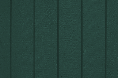 Riehl Green color swatch