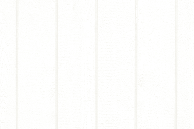 Barn White color swatch